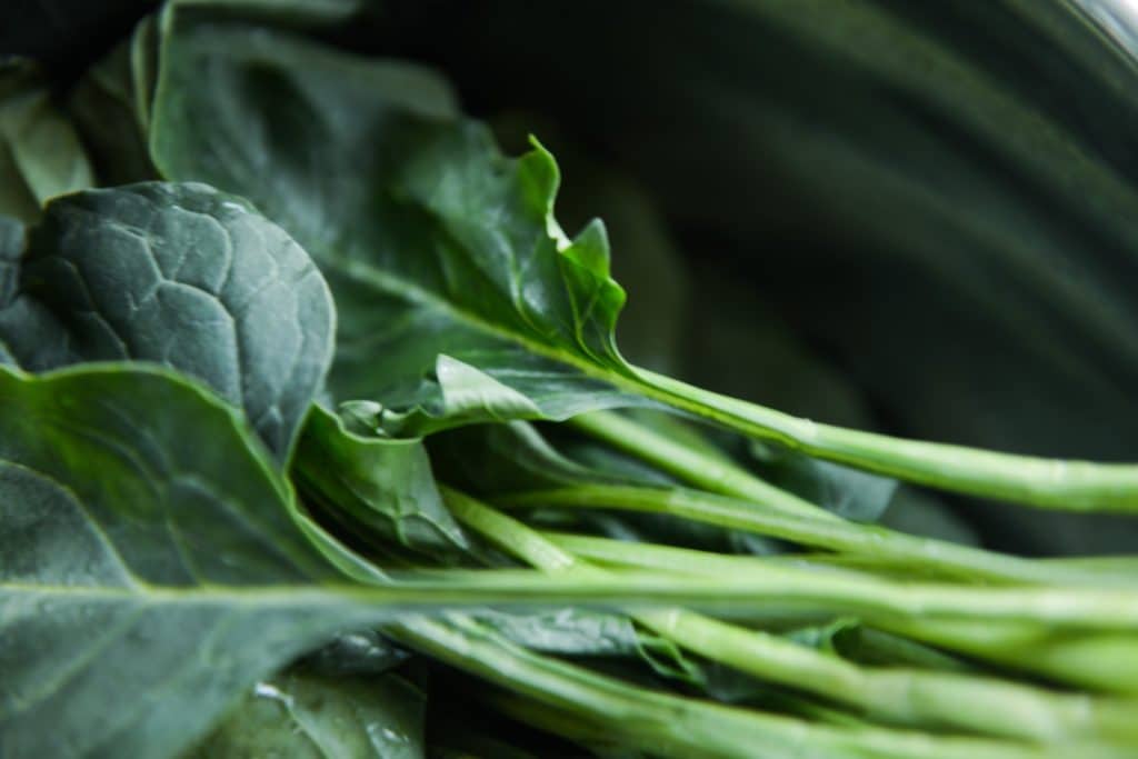 Collard Greens |