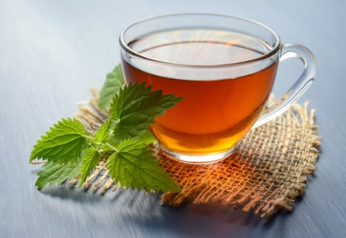 Peppermint Tea for Seniors